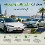 موجات الحر في تونس.. نحو منظومة إنذار مبكر لحماية الأرواح